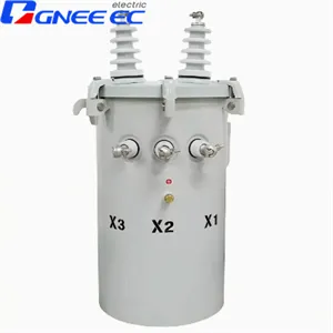 Single Phase Pole Mounted Distribution Transformer